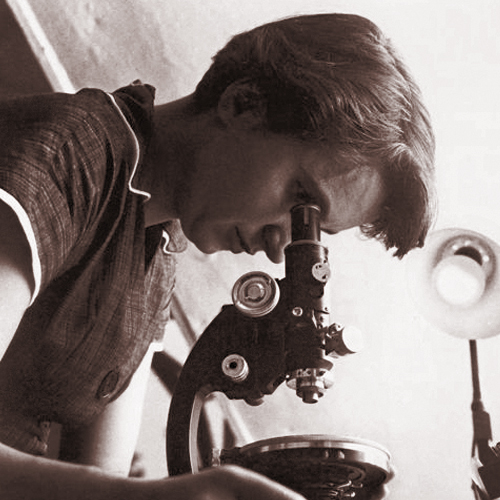 Birkbeck Lab